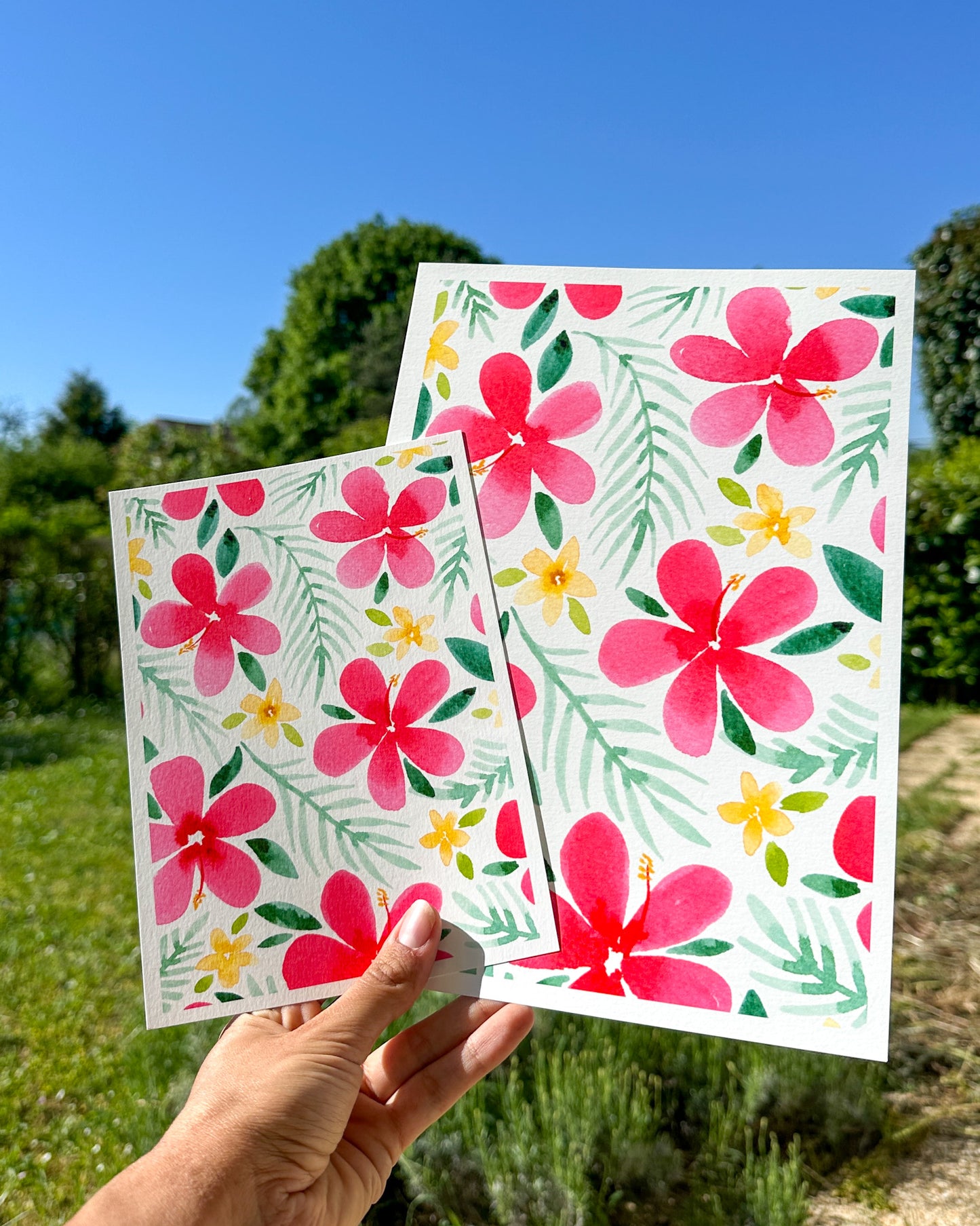 Fleurs fushia