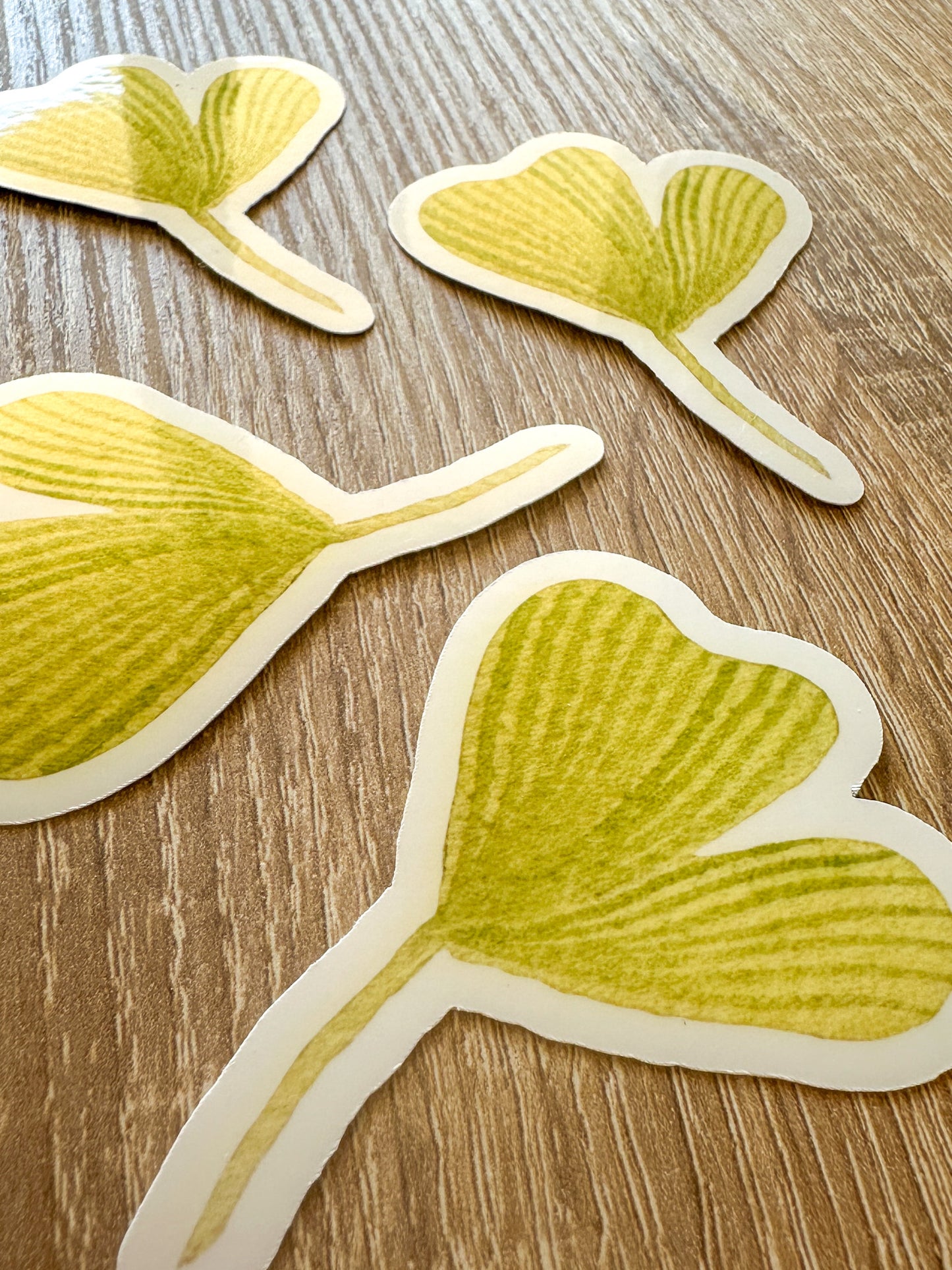 Sticker vinyle feuille de Gingko