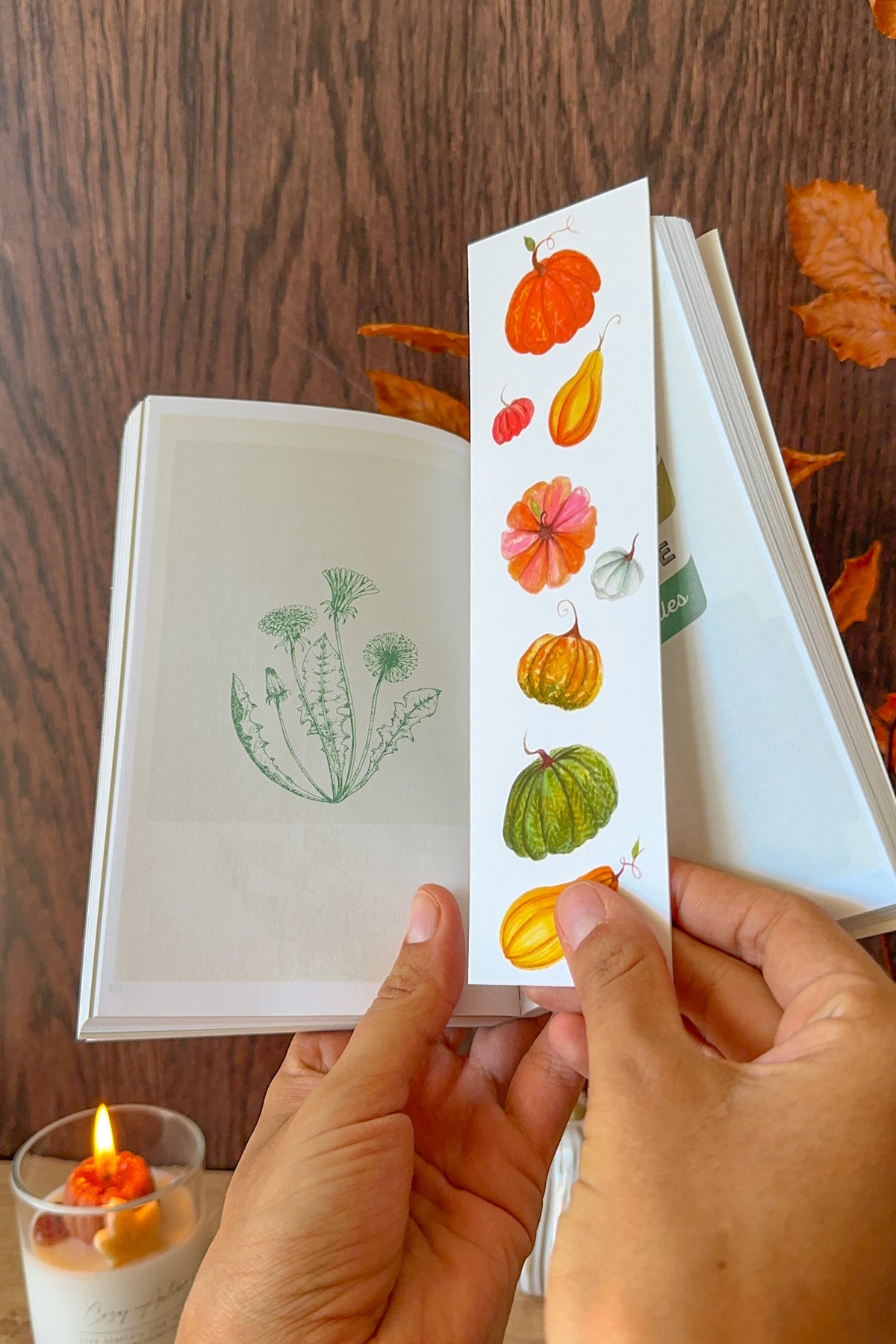 Marque-page Citrouilles en folie