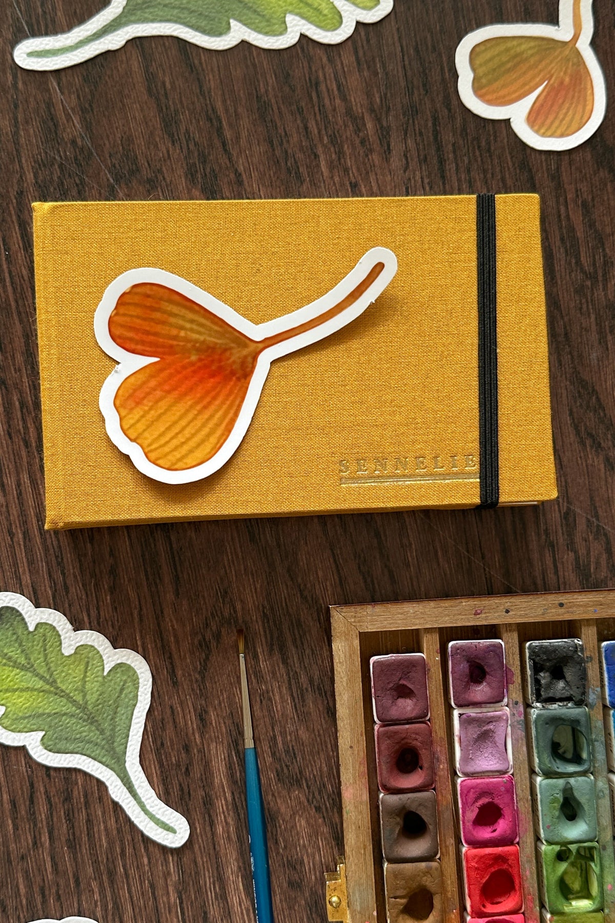 Feuille de Gingko