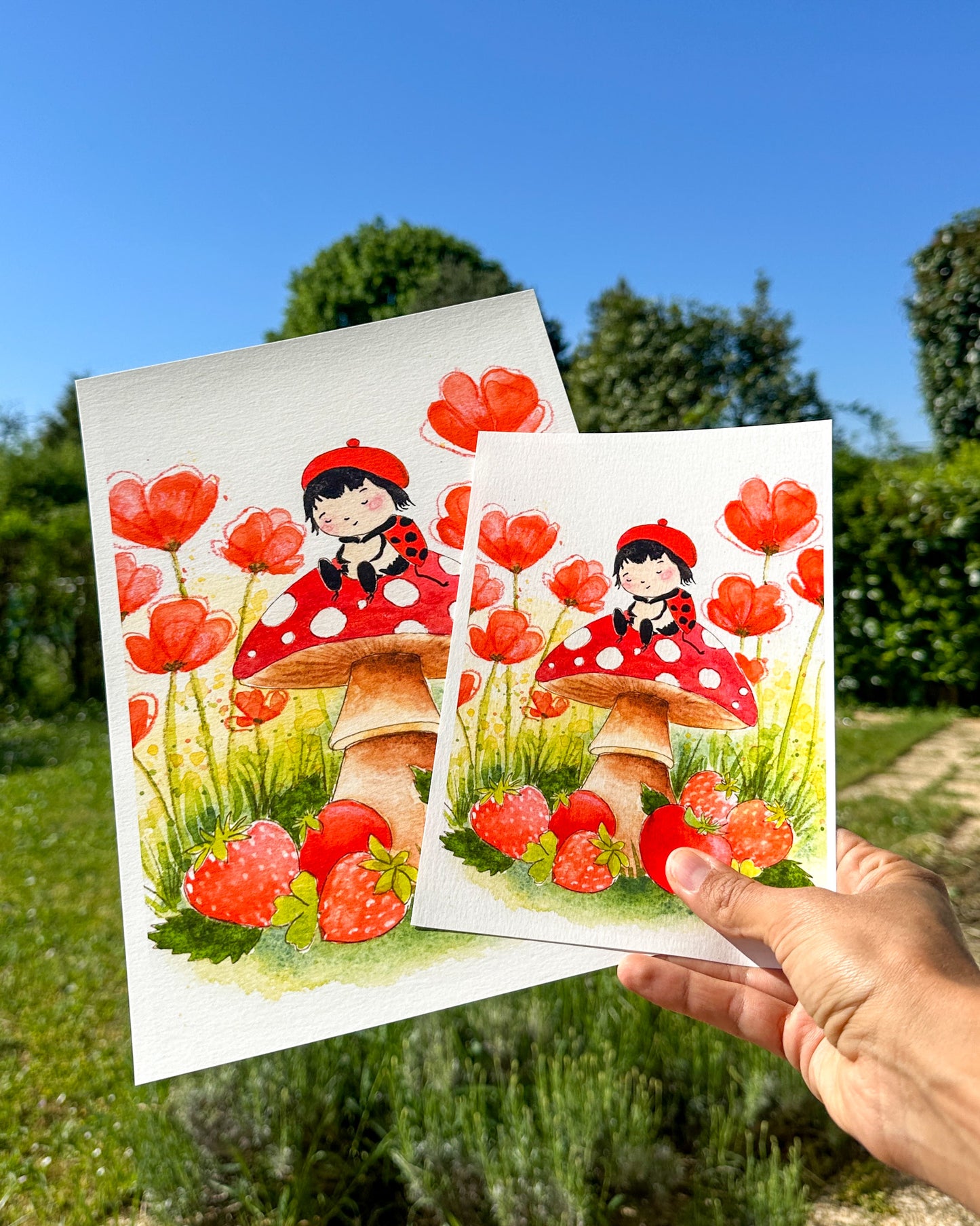 La petite cocinelle