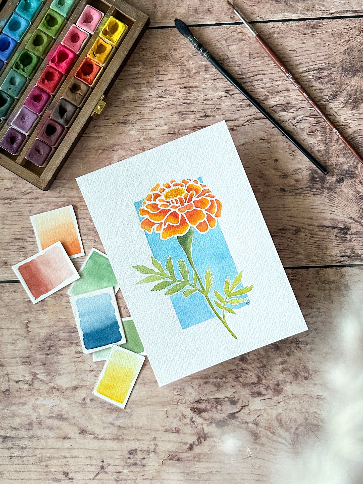 Aquarelle Originale : Oeillet d'Inde