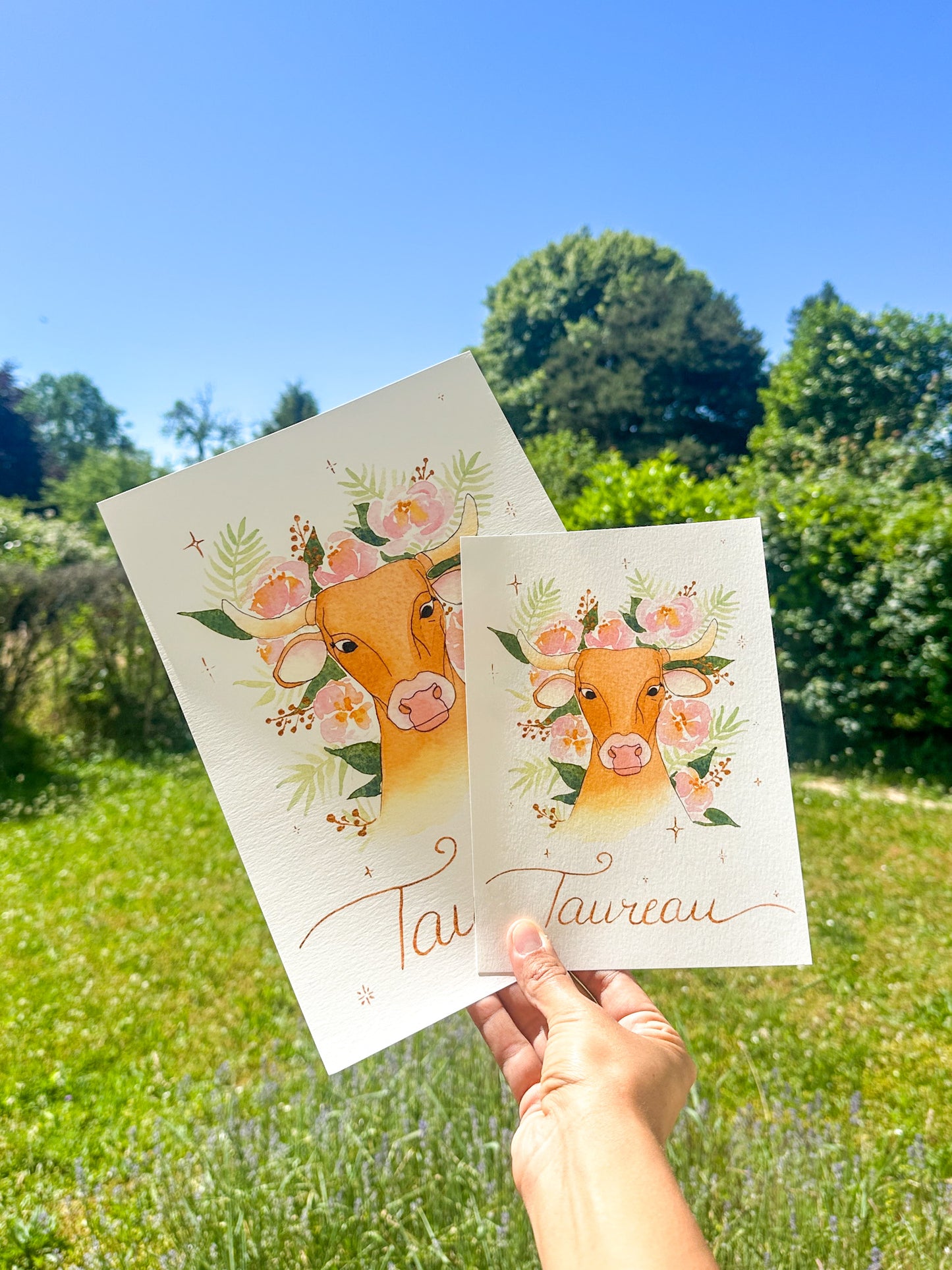 Taureau  ♉