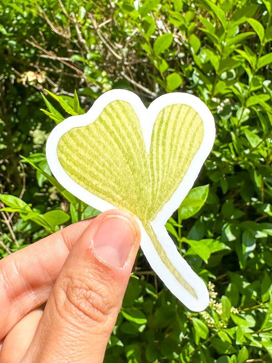 Sticker vinyle feuille de Gingko