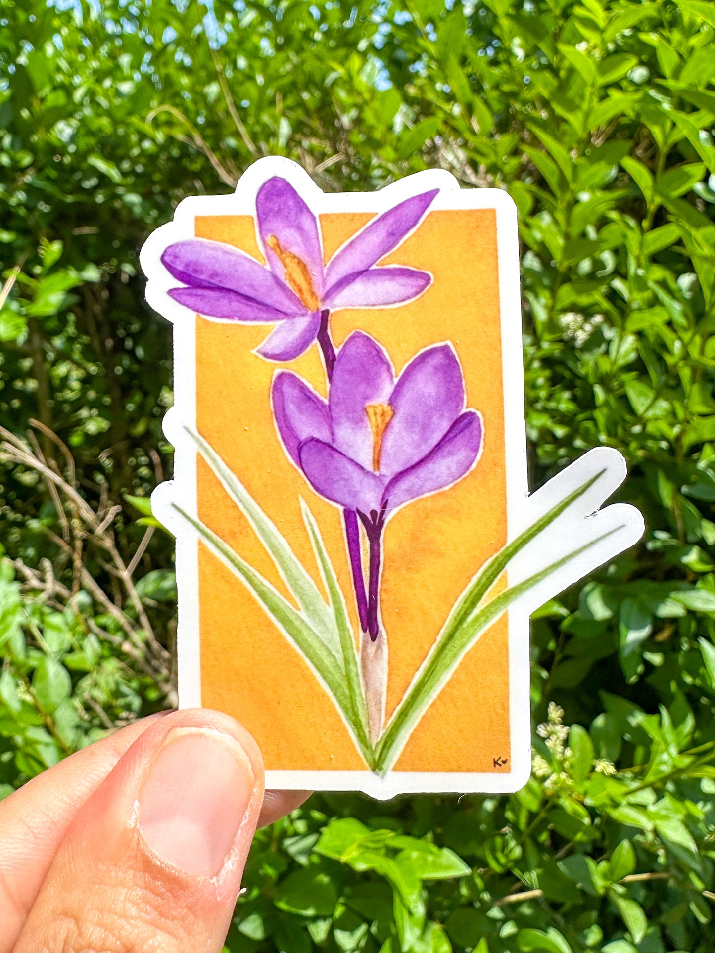 Sticker crocus