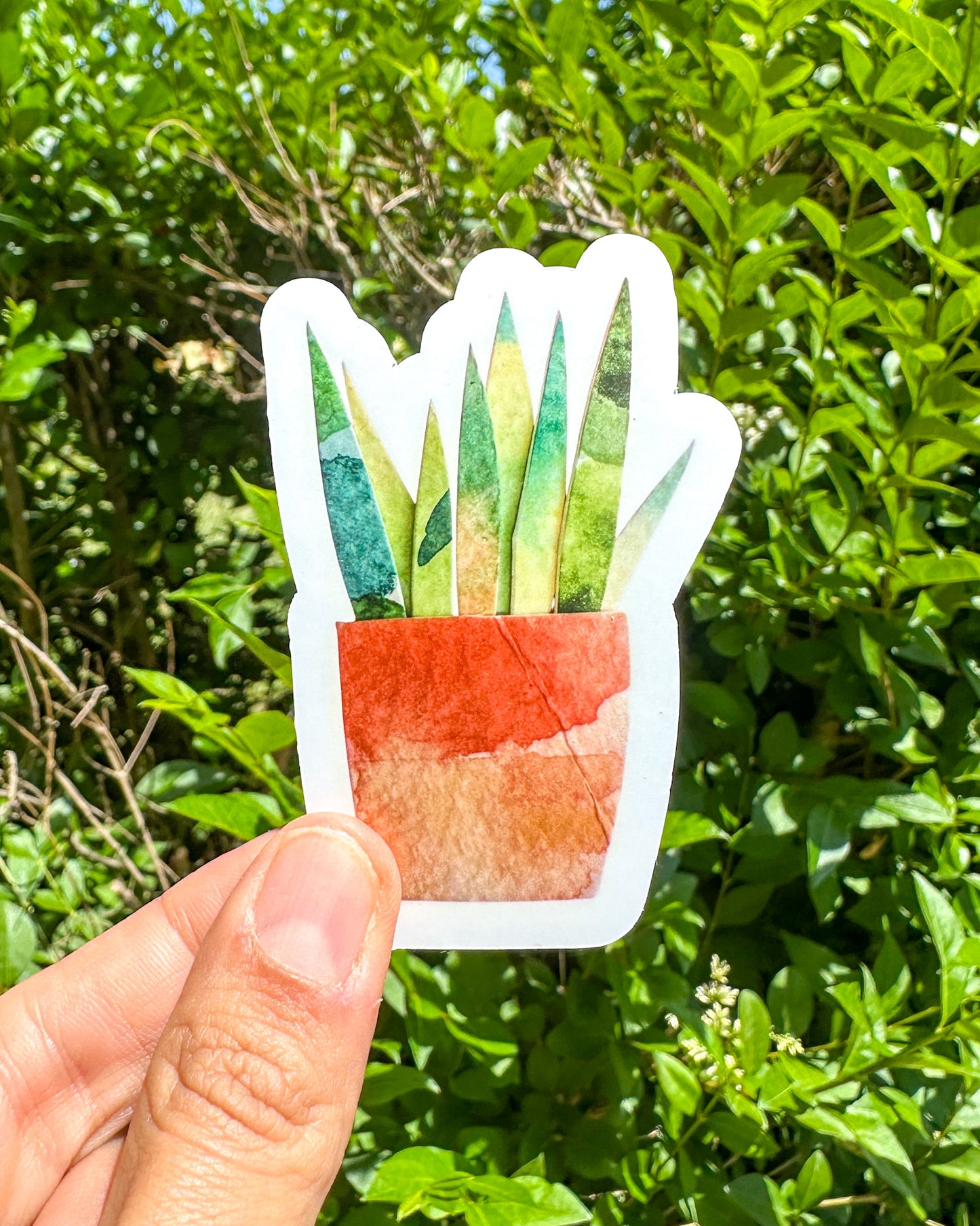 Sticker plante en pot