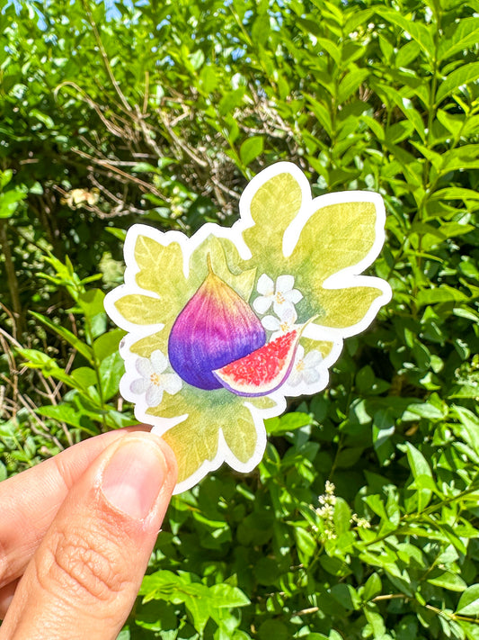 Sticker figue