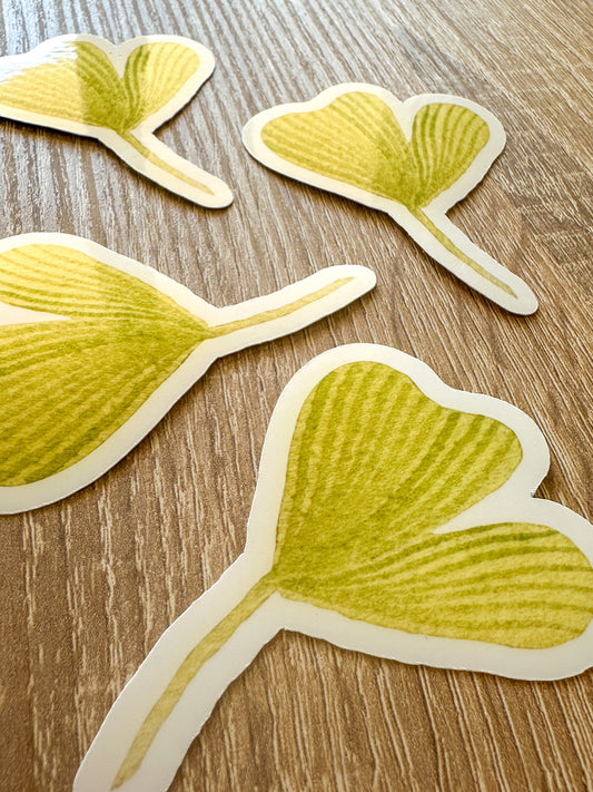 Sticker vinyle feuille de Gingko
